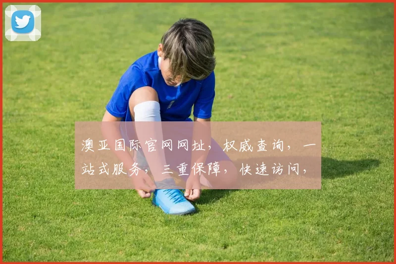 澳亚国际官网网址，权威查询，一站式服务，三重保障，快速访问，轻松体验