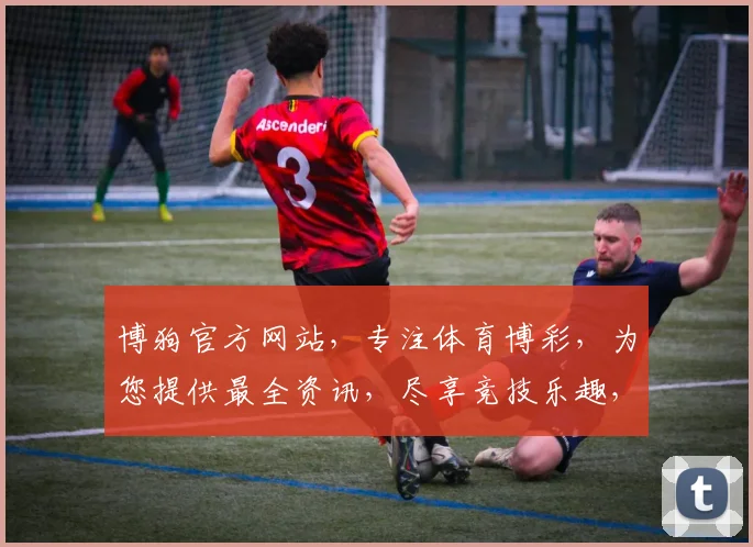 博狗官方网站，专注体育博彩，为您提供最全资讯，尽享竞技乐趣，安全可靠，值得信赖