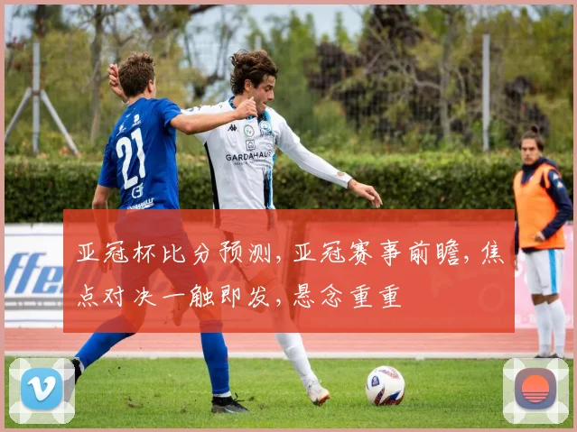 亚冠杯比分预测,亚冠赛事前瞻,焦点对决一触即发,悬念重重