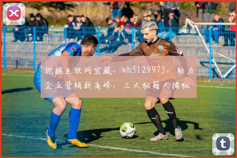 挖掘互联网宝藏，wh5129975，助力企业营销新高峰，三大秘籍大揭秘