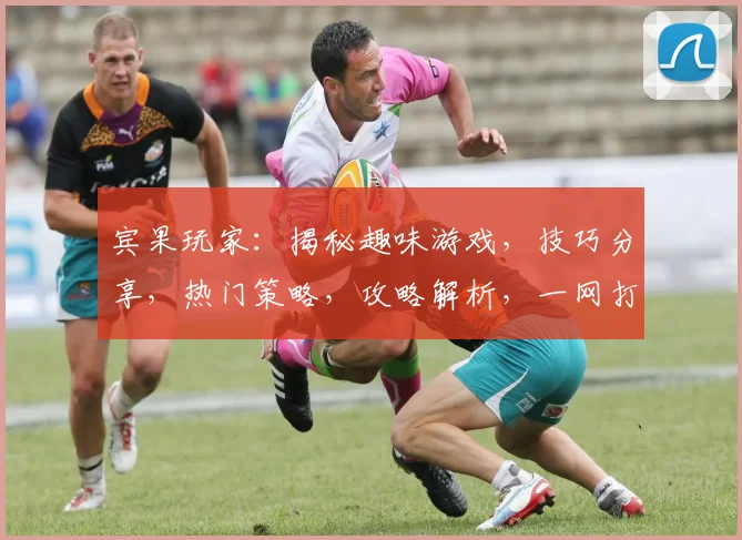 宾果玩家：揭秘趣味游戏，技巧分享，热门策略，攻略解析，一网打尽