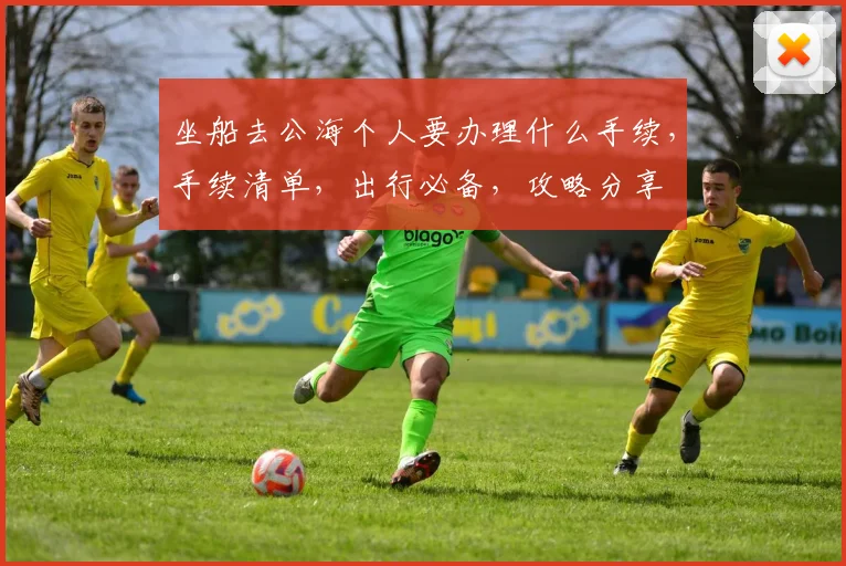 坐船去公海个人要办理什么手续，手续清单，出行必备，攻略分享