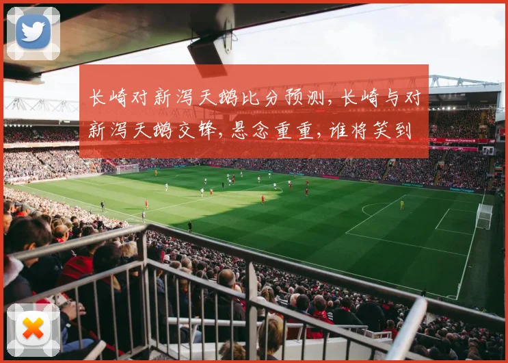 长崎对新泻天鹅比分预测,长崎与对新泻天鹅交锋,悬念重重,谁将笑到最后